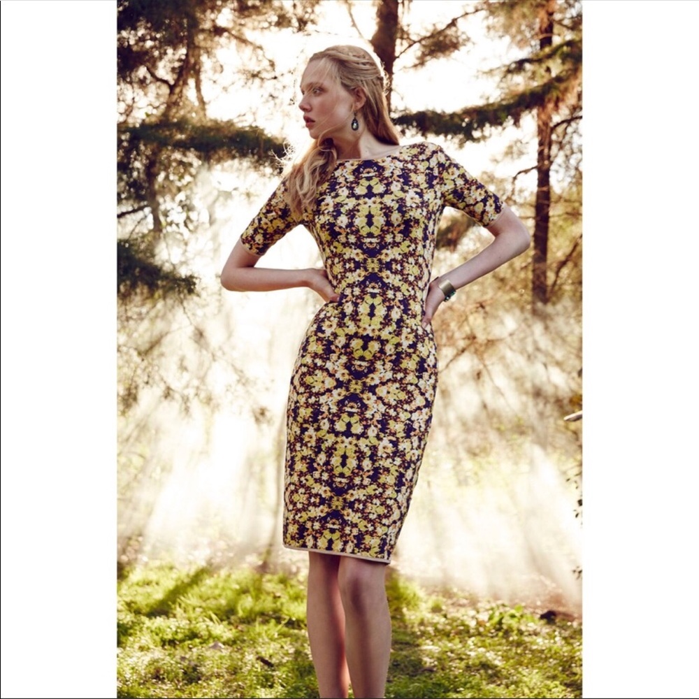 Anthropologie Libby Dress by Sam and Lavi